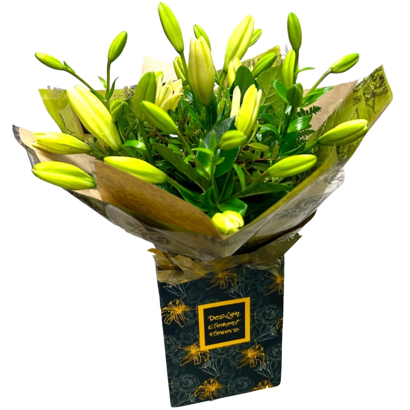 LOCAL White Lily Asiatic IN Design Element Flowers Box 