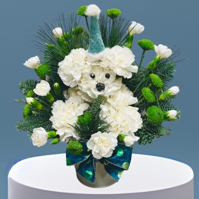 Winter Frosty Paws Arrangement 