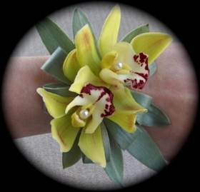 Cymbidium Orchid Wrist Corsage hand delivered in Manchester , Salford , Eccles , Irlam , Cadishead , Broughton , Old Trafford , Urmston, Greater Manchester , Worsley 