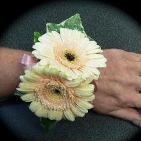 Wrist Corsage with Double Peach Germini hand delivered in Irlam , Cadishead , Manchester, Worsley , Salford, eccles , Peel Green , Old Trafford 