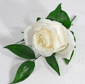 White Avalanche Buttonhole