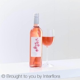 Wild Orchid Cabernet Rose