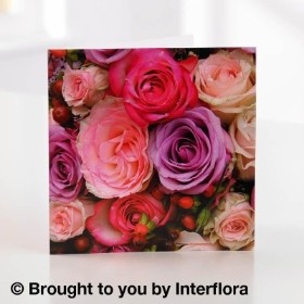 Pink Rose Greetings Card