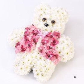 Teddy Bear Pink & White