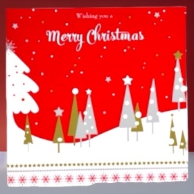 Christmas Greetings Card and Envelope