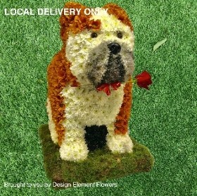 hand delivered in our local areas like Manchester , salford , Eccles , Worsley , Urmston, Flixton, Peel Green , Irlam , Cadishead 