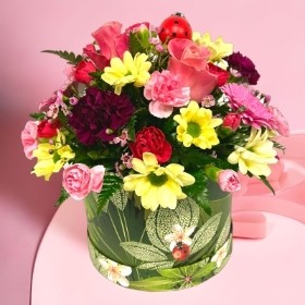 LOCAL Mothers Day Ladybird Large Hatbox    