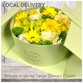 Alice Surprise Hatbox Yellows & Greens in Green Box 