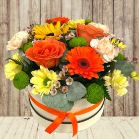 LOCAL Autumn Hatbox Arrangement 