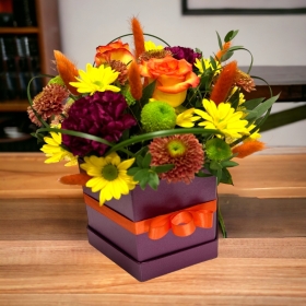 LOCAL Autumn Plum Hexagonal Hatbox Arrangeme