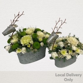 LOCAL Winter Reindeer Arrangement Small is delivered locally in Salford , irlam , Manchester 