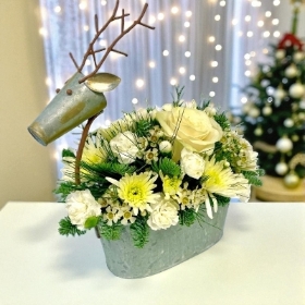 LOCAL Winter Reindeer Arrangement Small is delivered locally in Salford , irlam , Manchester 