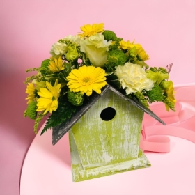 LOCAL Mothers Day Green Bird House Arrangement 