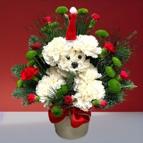 Christmas Santa Paws Arrangement 