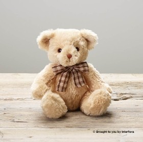 Chandler Bear