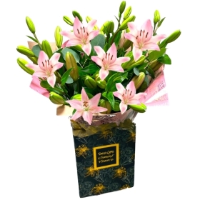LOCAL Pink  Lily Asiatic In the Design Element Flower