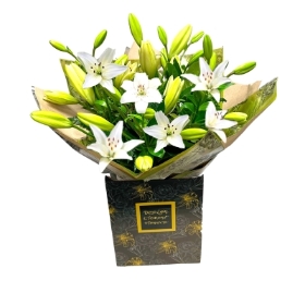 LOCAL White Lily Asiatic IN Design Element Flowers Box 