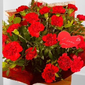 Valentines I LOVE YOU Red Carnations Hand-tied 